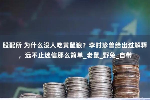 股配所 为什么没人吃黄鼠狼?李时珍曾给出过解释,远不止迷信那么简单_老鼠_野兔_自带
