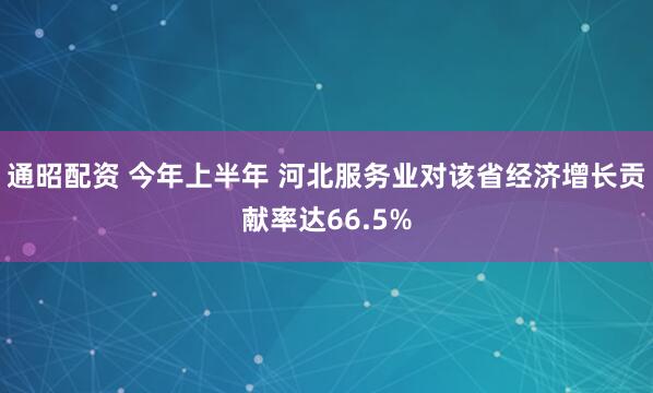 通昭配资 今年上半年 河北服务业对该省经济增长贡献率达66.5%
