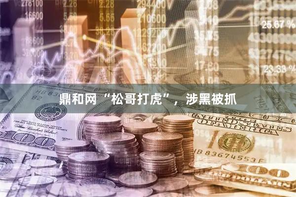 鼎和网 “松哥打虎”，涉黑被抓