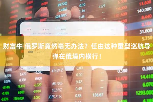 财富牛 俄罗斯竟然毫无办法？任由这种重型巡航导弹在俄境内横行！